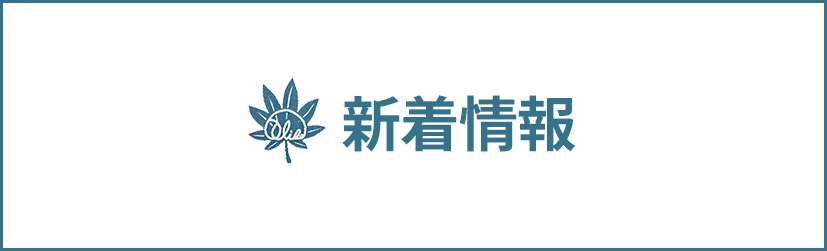 新着情報